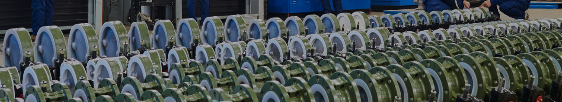 Changshui Technology Group Co., Ltd.